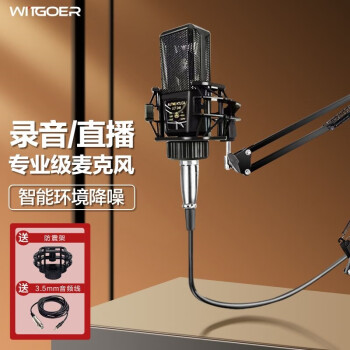 智國(guó)者專(zhuān)業(yè)電腦麥克風(fēng)聲卡直播電競(jìng)外設(shè)電容降噪游戲k歌錄音主播